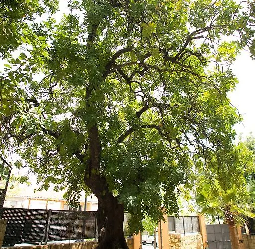 Altos De