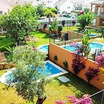 Altos De *