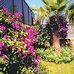 Altos De Villa Marbella