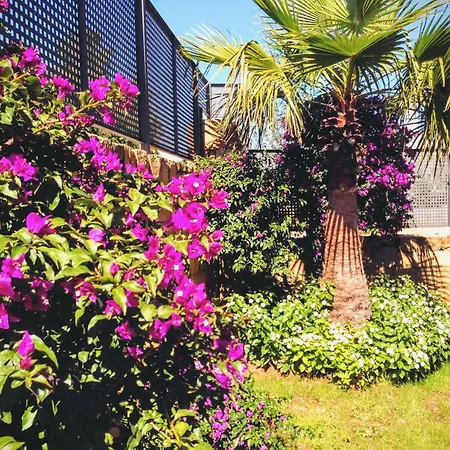 Altos De 别墅 马尔韦利亚